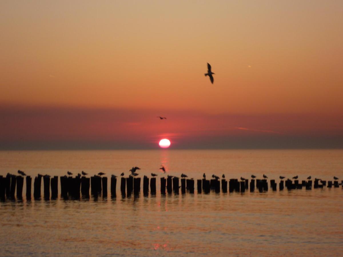 Vakantiehuis Domburg Do12 المظهر الخارجي الصورة